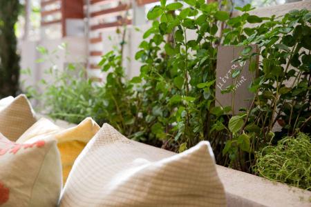 Отель Coco-Mat Hotel Nafsika в Афины - Греция