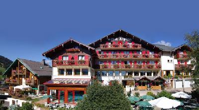 Hotel Alpina