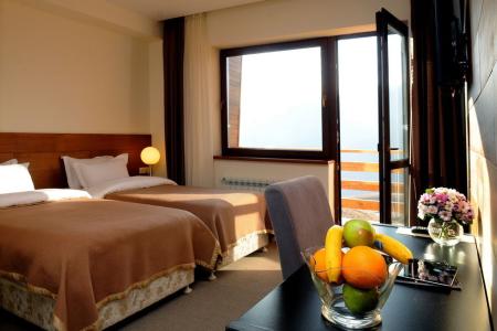 Отель Carpe Diem в Гудаури - Грузия