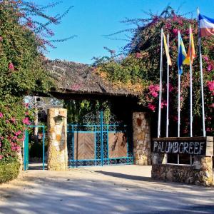 отель Jaz Amaluna Beach Resort (Adults Only 16)