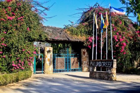 Отель Jaz Amaluna Beach Resort (Adults Only 16) в о. Занзибар - Танзания