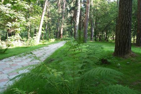 Пансионат Малаховка