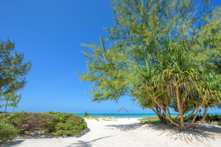 Отель Hakuna Majiwe Beach Lodge в о. Занзибар - Танзания