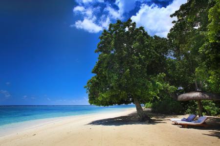 Отель Maradiva Villas Resort & Spa в Флик ан Флак - Маврикий