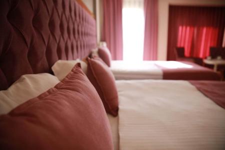 Отель Hotel Black Tulip  в Сиркеджи - Турция