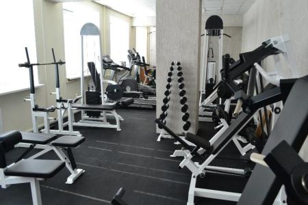 Лесная Новь