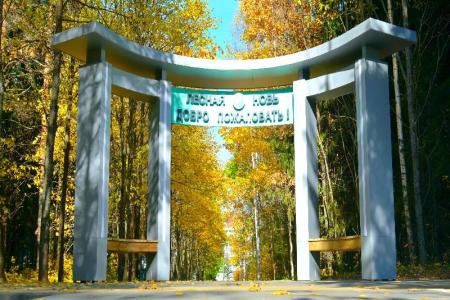 Лесная Новь