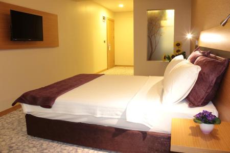 Отель Hotel Osaka Airport в Бахчелиэвлер - Турция