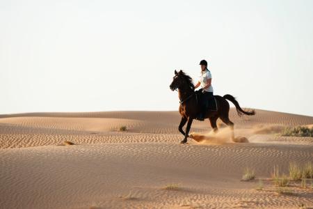 Отель Al Maha, a Luxury Collection Desert Resort & Spa в Дубай - ОАЭ
