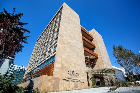 Отель Gorrion Hotel Istanbul  в Бахчелиэвлер - Турция