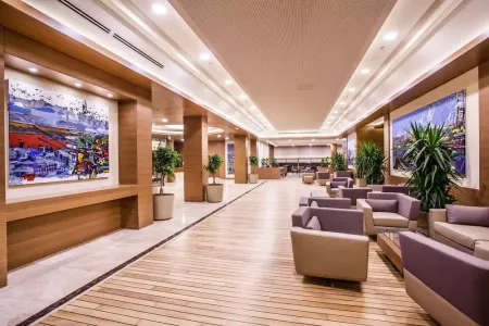 Отель Gorrion Hotel Istanbul  в Бахчелиэвлер - Турция