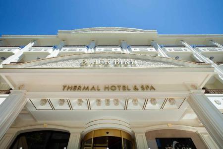 Отель Black Bird Thermal Hotel & Spa в Ялова - Турция
