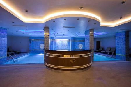 Отель Black Bird Thermal Hotel & Spa в Ялова - Турция