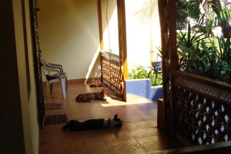 Отель The Quest Guest House в Кандолим - Индия