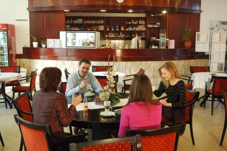 Отель Medical Centre (BM Sanatorium) в Хевиз - Венгрия