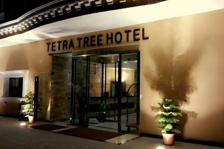 Отель Tetra Tree Hotel в Петра - Иордания