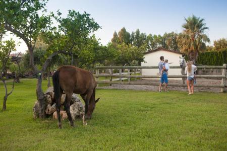 Club Hotel Turan Prince World