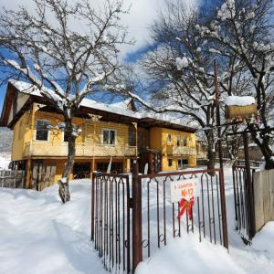 отель Art Villa Bakuriani