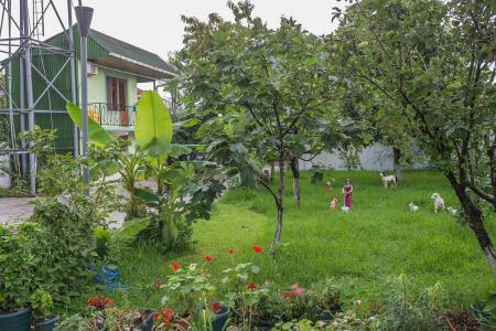 Отель Chveni Ezo в Кобулети - Грузия