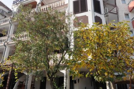 Отель Dvor Kornica в Будва - Черногория