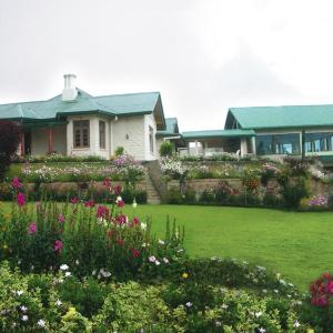 отель Tea Bush Hotel