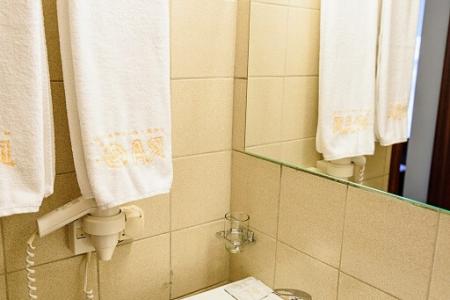 Отель Парк-отель АЯ в Алтайский край - Россия