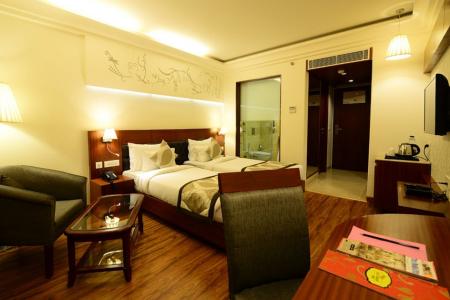 Отель Hotel Regent Grand в Дели - Индия