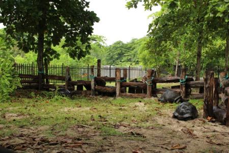 Отель Heliconia Grove в о. Праслин - Сейшелы