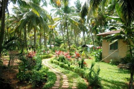 Отель Alagoa Resort в Беталбатим - Индия