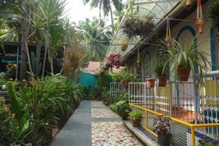 Отель Zappia Cove Guest House в Палолем - Индия