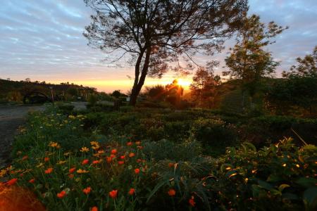 Отель Heritance Tea Factory в Нувара Элия - Шри-Ланка