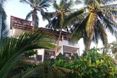 Отель Peacock Wings в Мирисса - Шри-Ланка