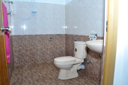 Отель Green Shadows Beach Hotel в Калутара - Шри-Ланка