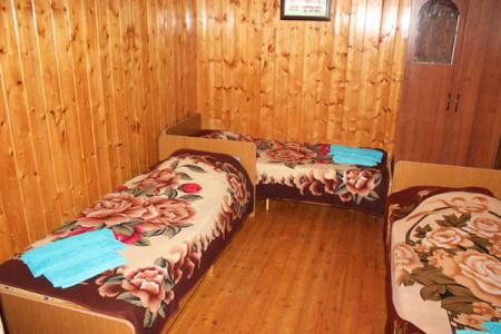 Отель Леон гостевой дом в Новый Афон - Абхазия