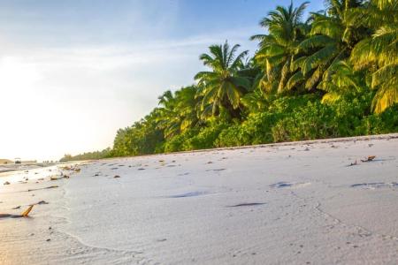 Отель Oasis Hotel в о. Праслин - Сейшелы