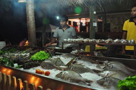 Отель Tartaruga в Унаватуна - Шри-Ланка