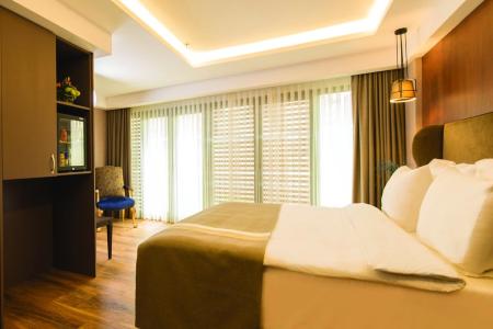 Отель Blueway Hotel Historical в Шишли - Турция