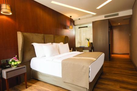 Отель Blueway Hotel Historical в Шишли - Турция