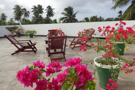 Отель Italia в Галле - Шри-Ланка