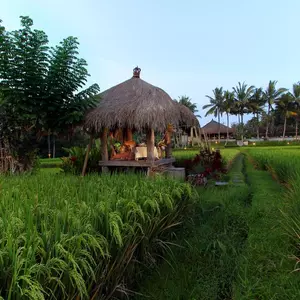 отель Mathis Retreat