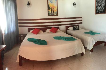 Отель Drifters Hotel в Хиккадува - Шри-Ланка