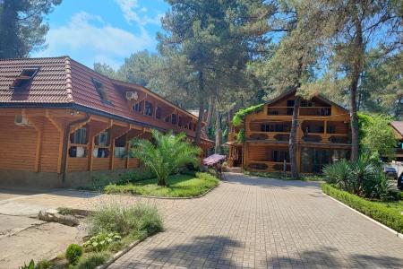 Отель Сосновый Бор в Пицунда - Абхазия