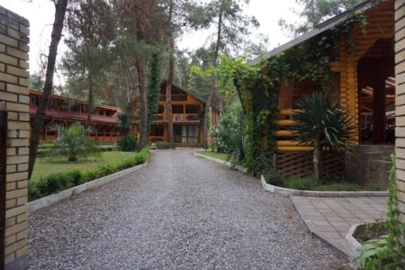 Отель Сосновый Бор в Пицунда - Абхазия