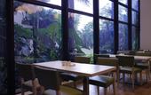 Туры в отель Holiday Inn Express Haikou West Coast