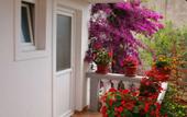 Туры в отель Irena Apartments