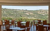 Туры в отель Scalani Hills Boutari Winery & Residences