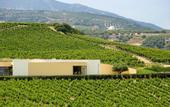Туры в отель Scalani Hills Boutari Winery & Residences