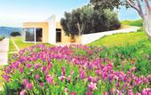 Туры в отель Scalani Hills Boutari Winery & Residences