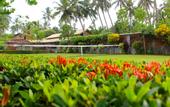 Туры в отель Ceylon Bungalows