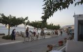 Туры в отель Corissia Beach Hotel